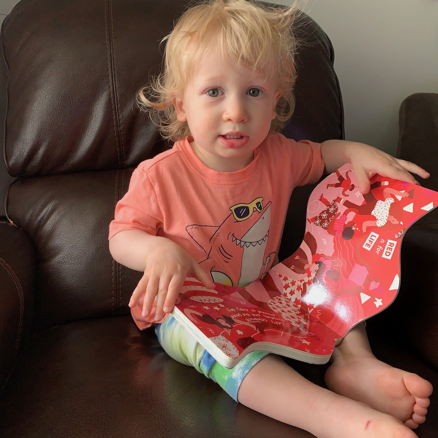 Little Feminist Book Club Ages 0-2 Review – June 2021