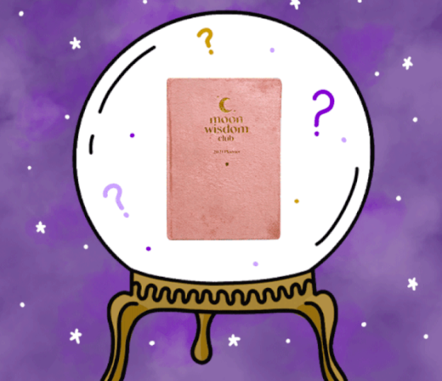 Goddess Provisions Mystery Surprise Grab Bag – Available Now!