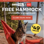 News image for Play Hard, Nap Harder with a FREE Hammock for You & Your Dog – Super Chewer