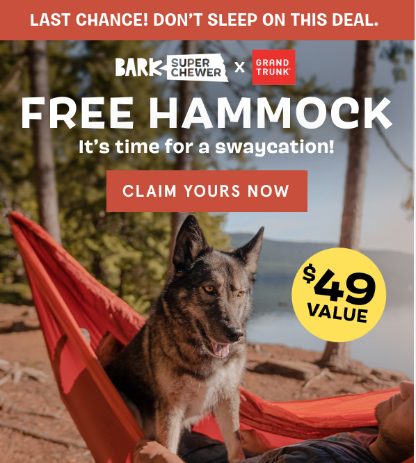 Play Hard, Nap Harder with a FREE Hammock for You & Your Dog – Super Chewer