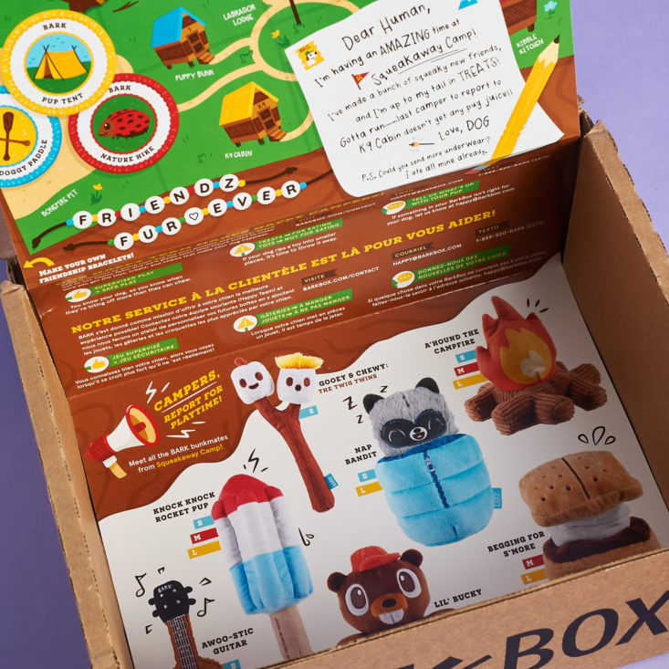 BarkBox Subscription Box Review + Coupon June 2021 MSA