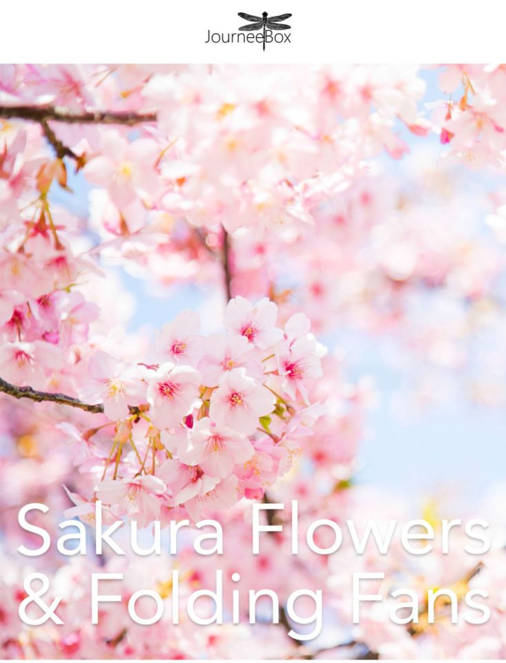 Sakura Flowers and Folding Fans