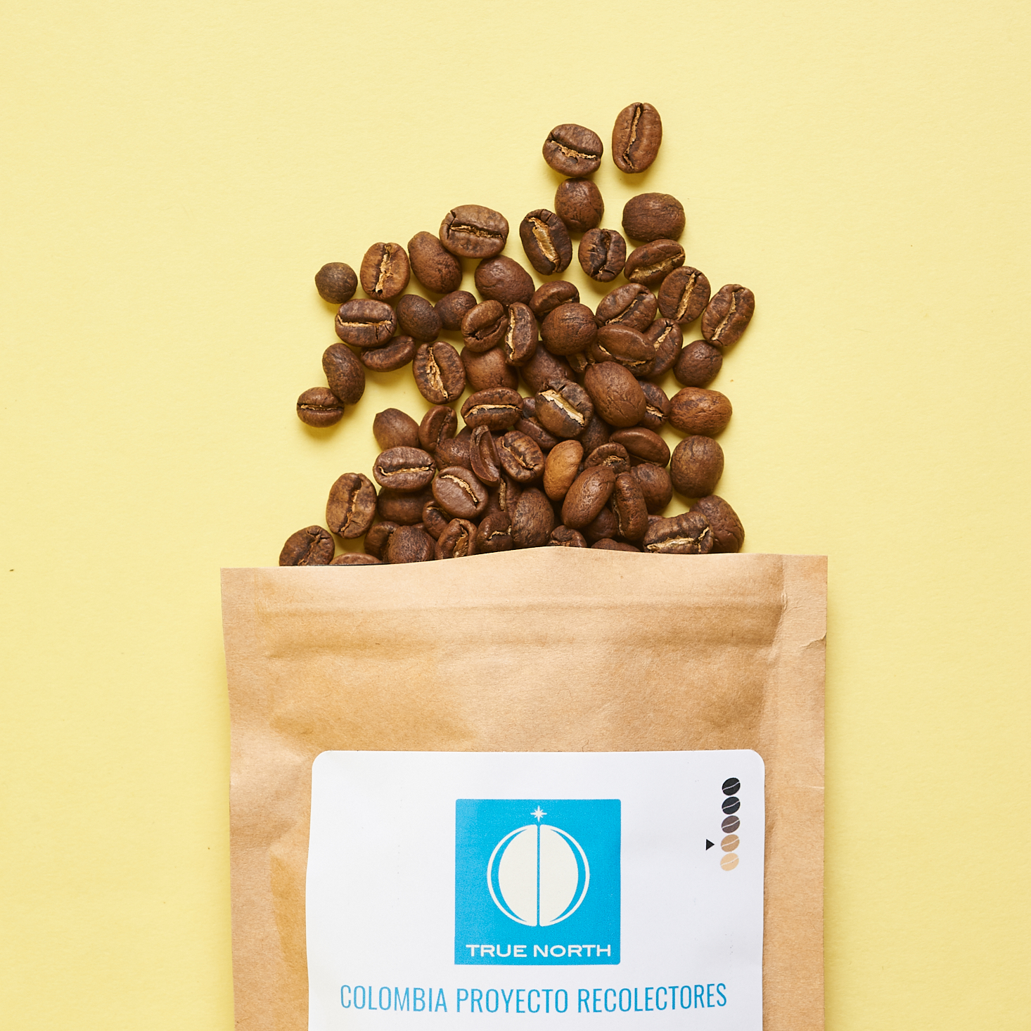 Bean Box Review An Artisan Coffee Subscription to Transform Your