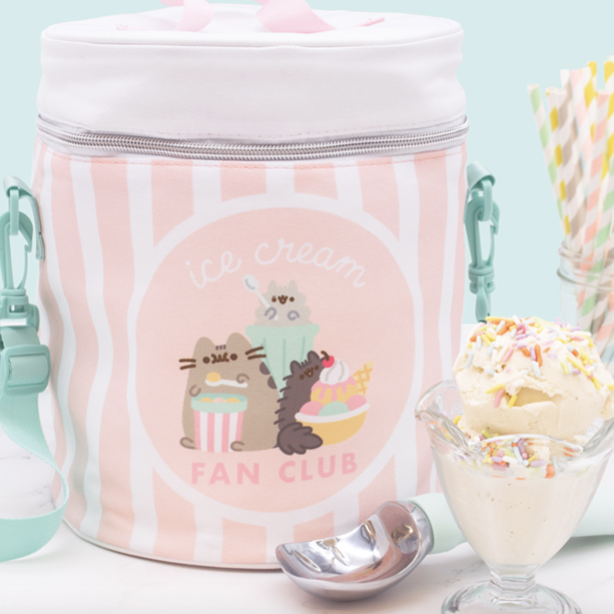 Pusheen Summer 2021 Box – Spoiler #4