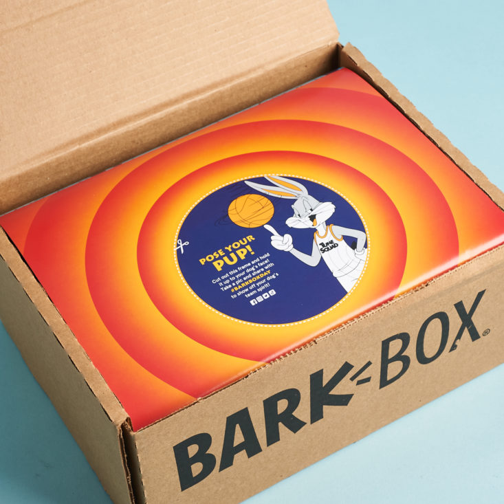 BarkBox's Newest Brand Licensing Initiative to Feature Space Jam Sequel,  Attract Basketball Fans