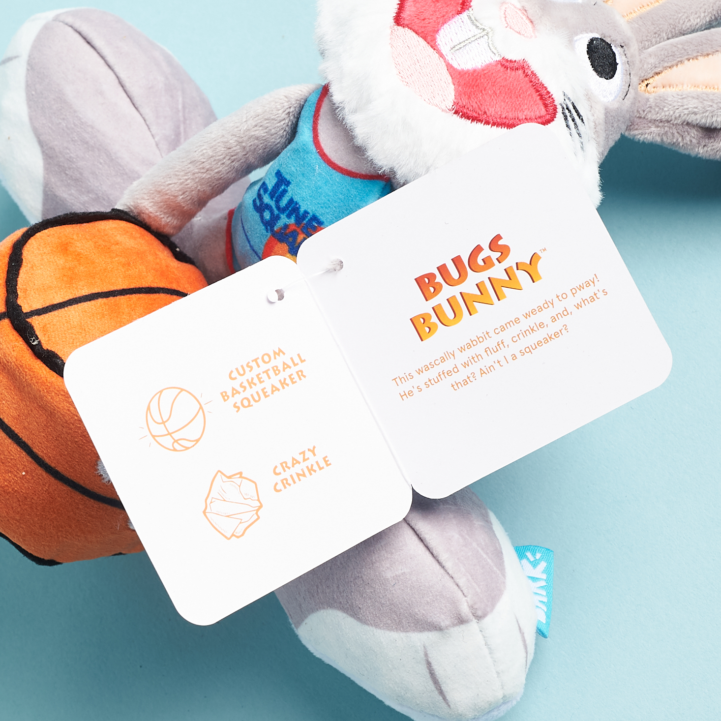 BarkBox's Newest Brand Licensing Initiative to Feature Space Jam Sequel,  Attract Basketball Fans