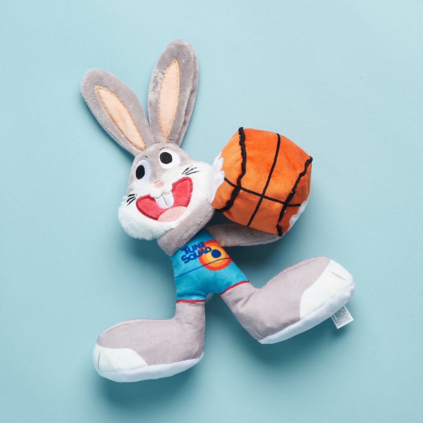 BarkBox's Newest Brand Licensing Initiative to Feature Space Jam Sequel,  Attract Basketball Fans