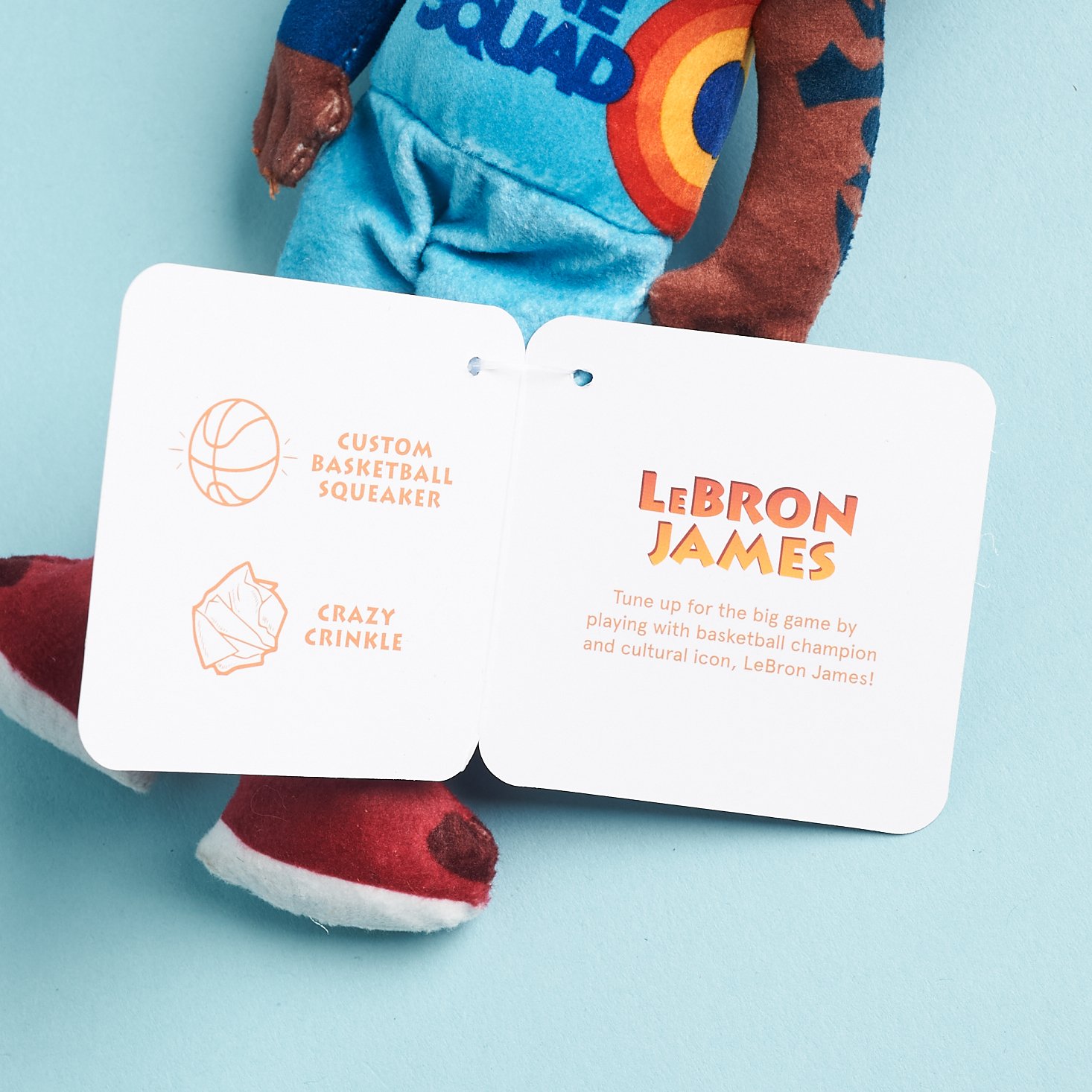 BarkBox Deal: FREE Squad Wearable Jersey With Space Jam Box! - Hello  Subscription