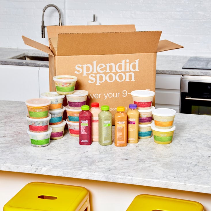Splendid Spoon Review - Tasty & Nutritious Plant-Based Meals