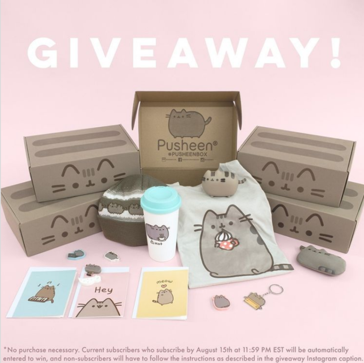 pusheen box winter 2021