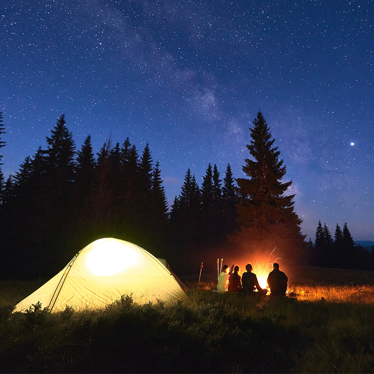 The 5 Best Subscriptions to Bring Along Camping