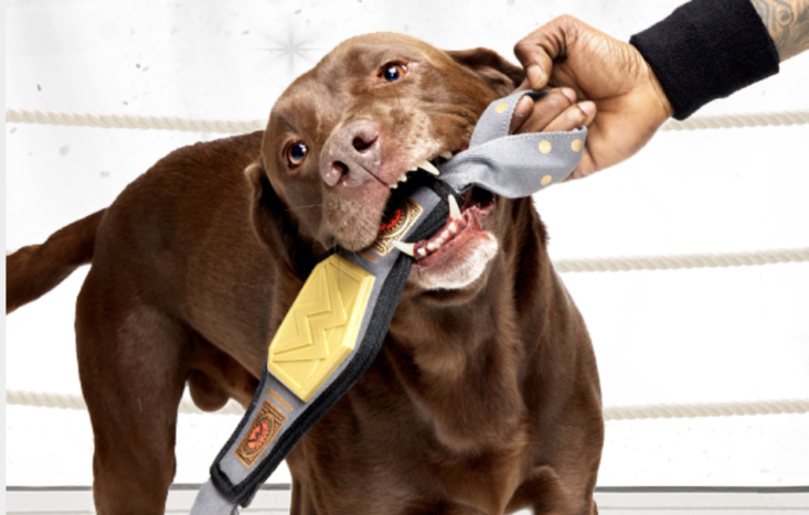 barkbox chompionship belt with dog biting on i