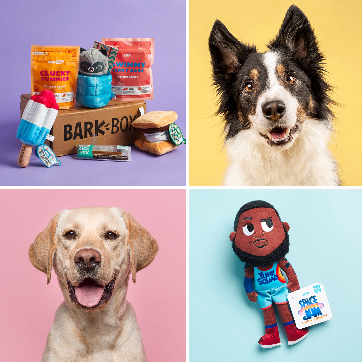 6 Things I Like About BarkBox and 2 Things I Don’t