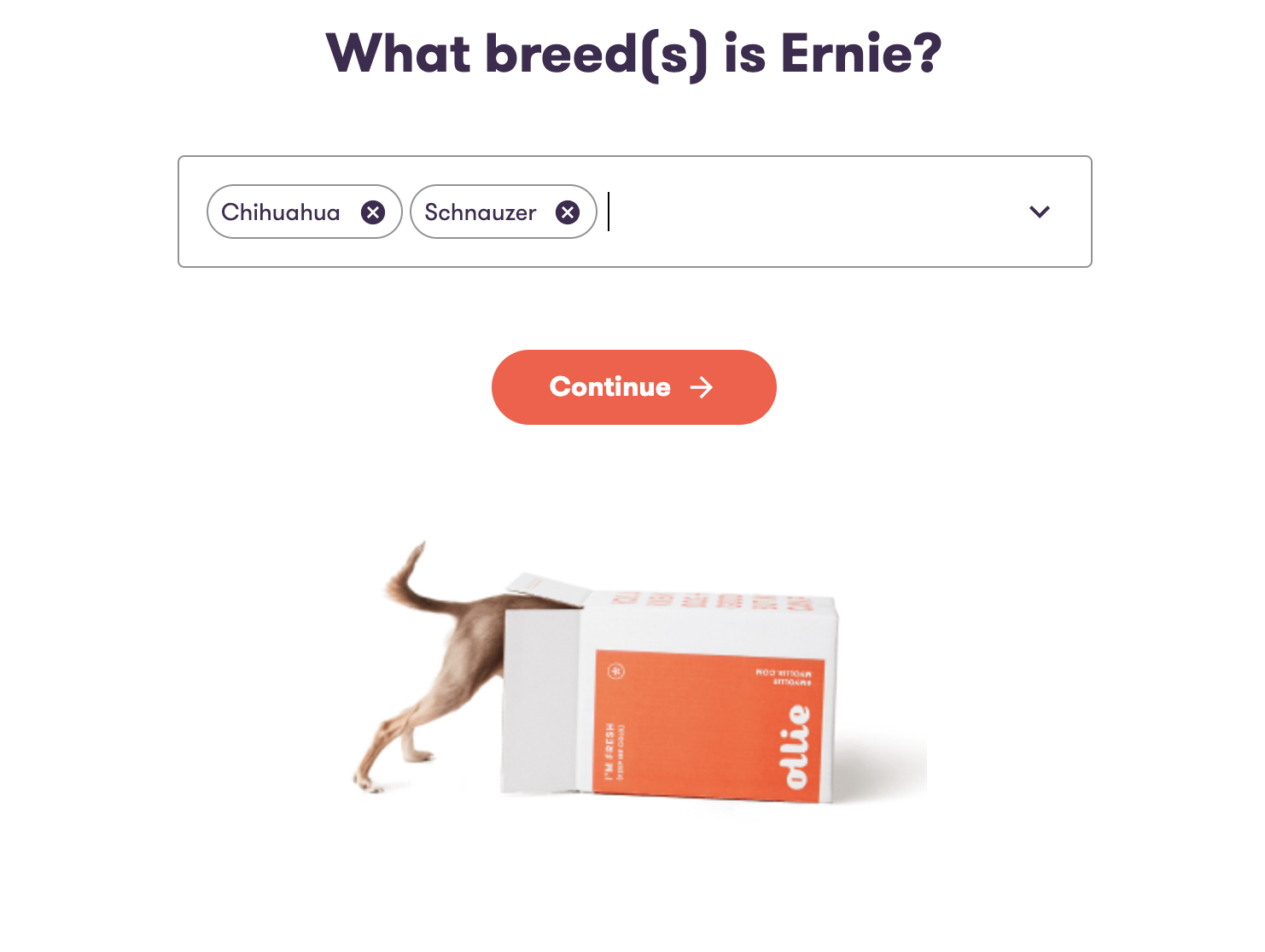 Ollie quiz asking for breed of dog