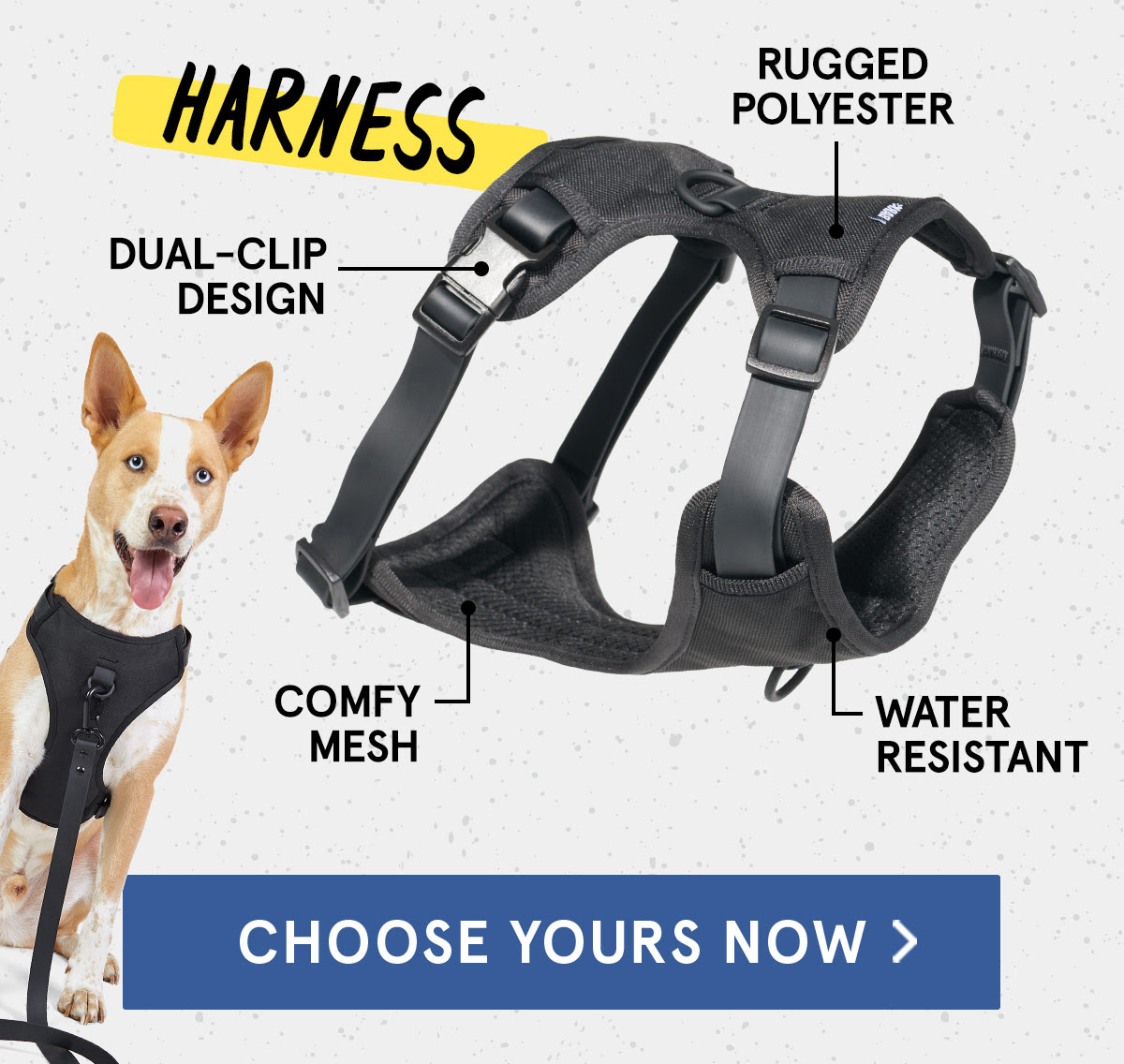 FREE Leash, Collar & Harness for Your Dog