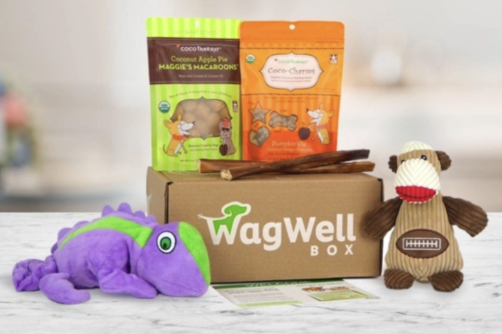 wagwell box with dog toys and treats