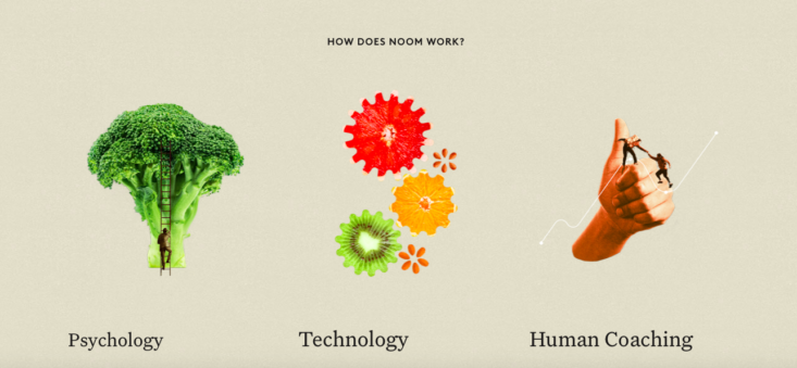How Noom works photo