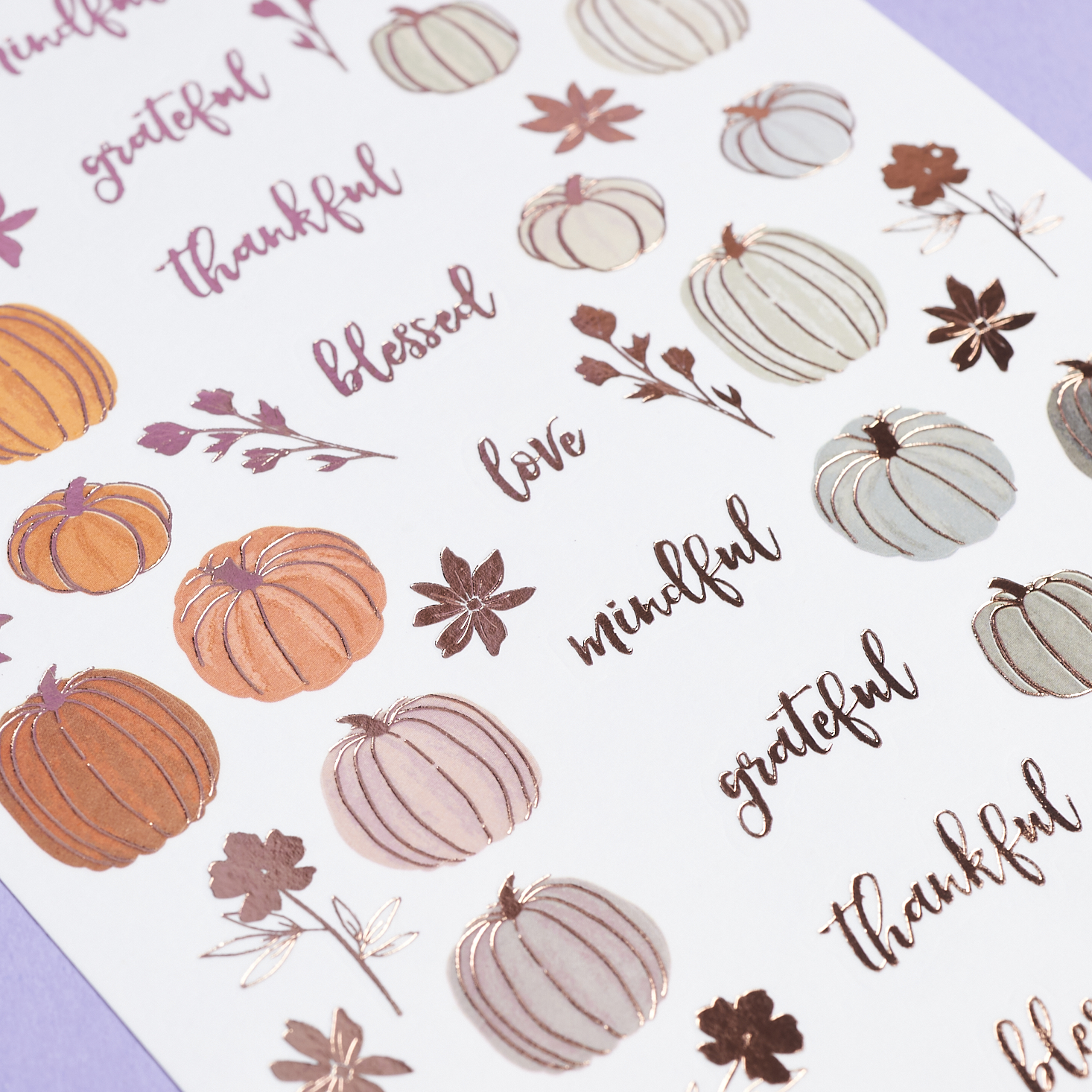 Erin Condren fall stickers decorative close up