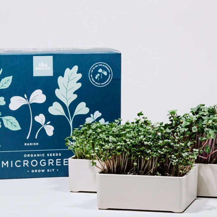 Microgreens Growing Kit from Urban Leaf