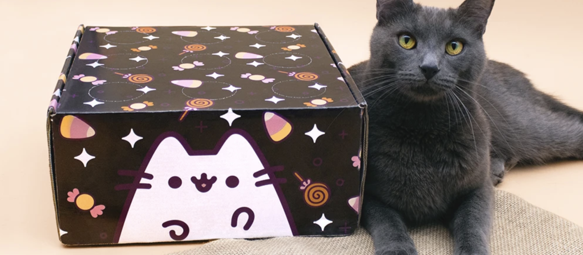 Cat Kit By Pusheen Fall 2021 Box: Spoiler #2