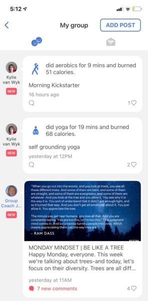 Screenshot of noom group chat feature