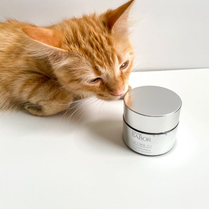 orange tabby cat looking at metallic silver jar