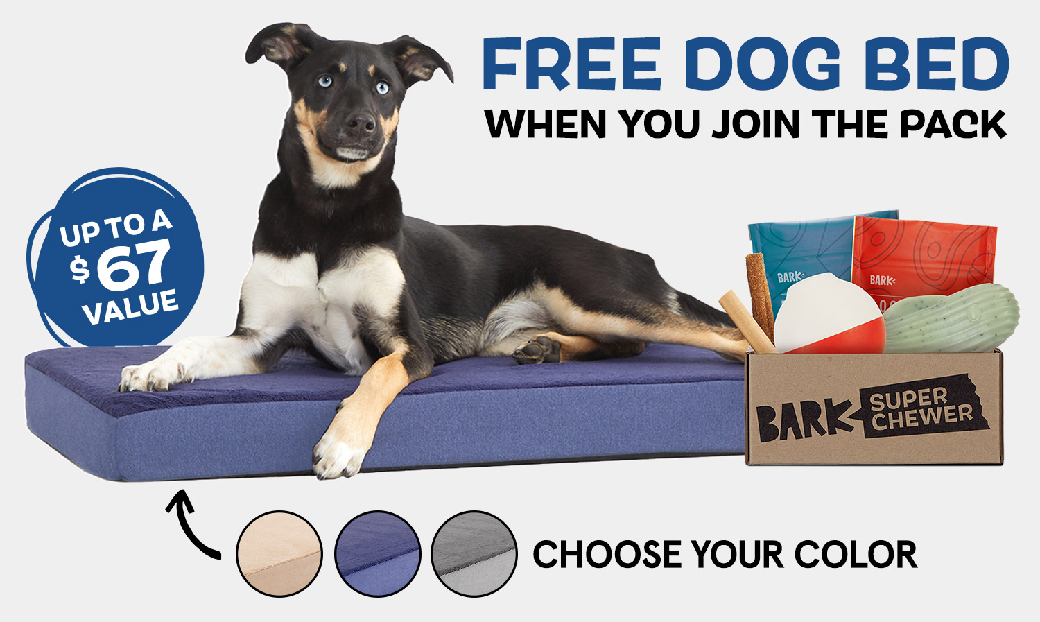 Barkbox Super Chewer Get a FREE Dog Bed When You Sign Up for a Multi