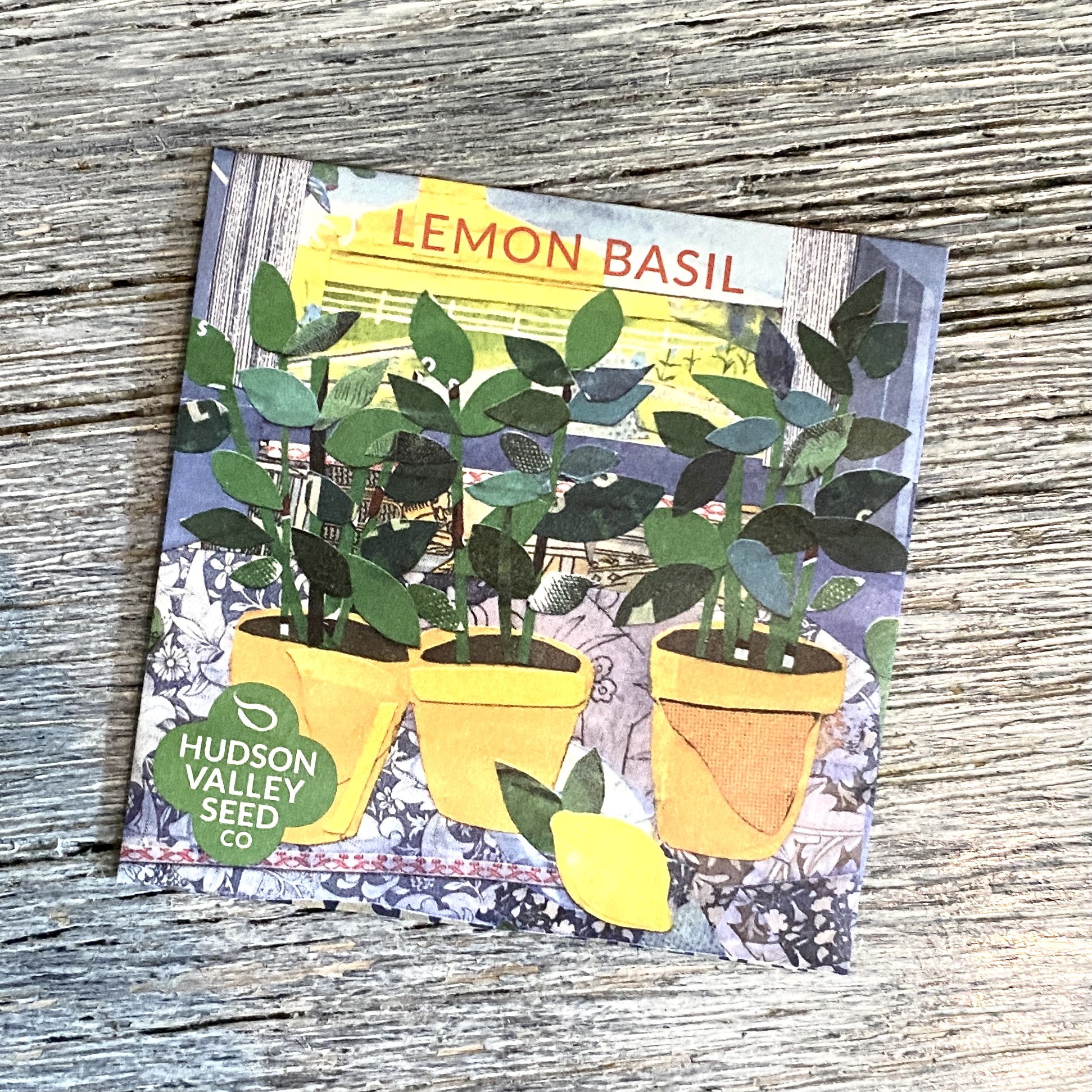 Front of Lemon Basil Seed Packet for Cocotique September 2021