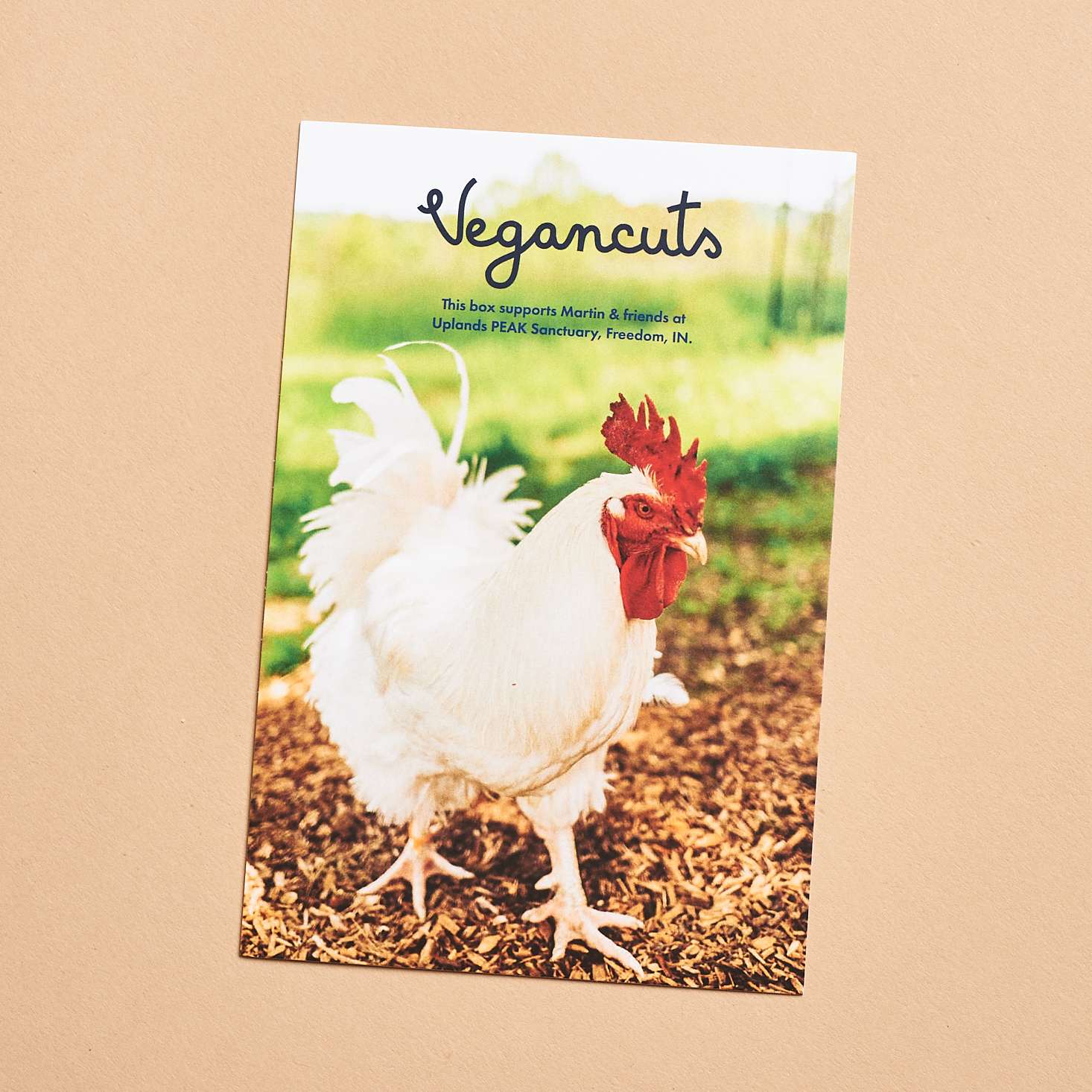 vegancuts card showing a white chicken