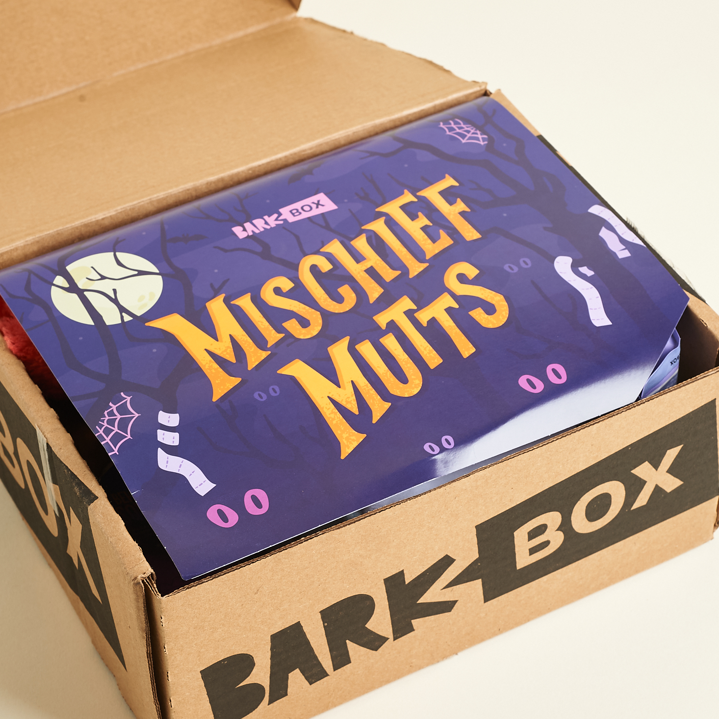 BarkBox “Mischief Mutts” October Subscription Box Review + Coupon MSA