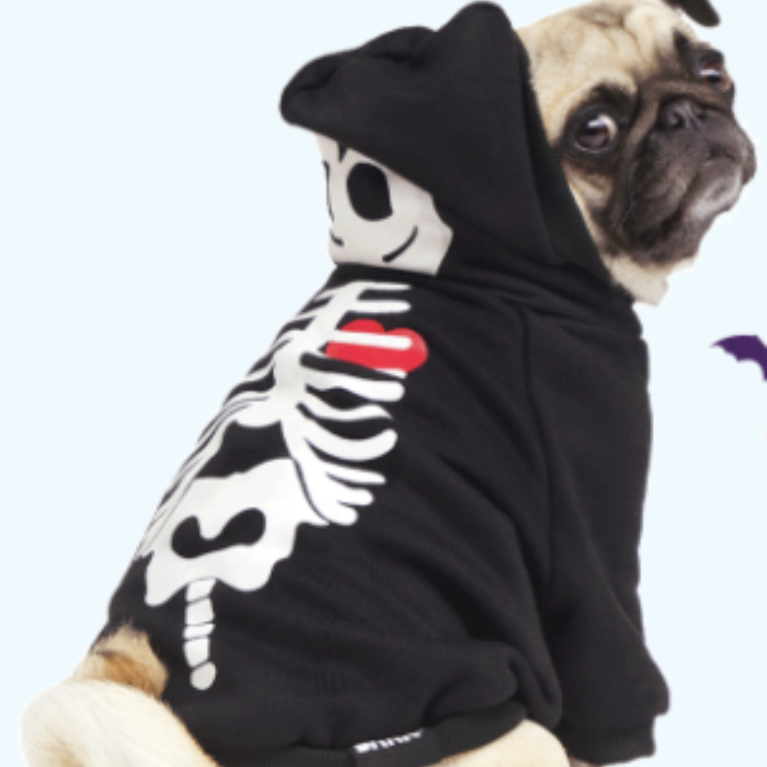 Barkbox: Get FREE Glow-In-The-Dark Skeleton Hoodie for Your Dog When You Subscribe