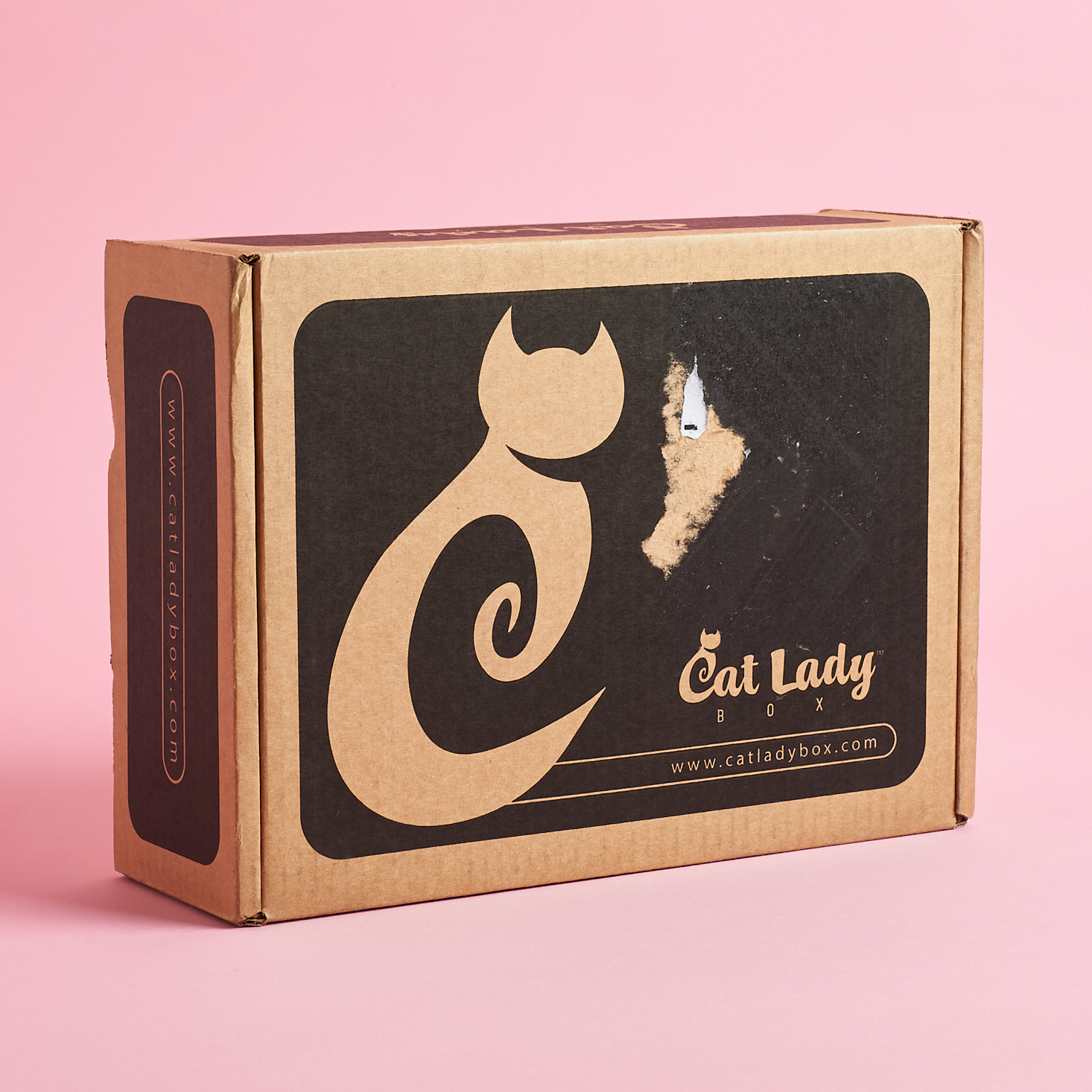 brown and black cardboard box with cat silhouette