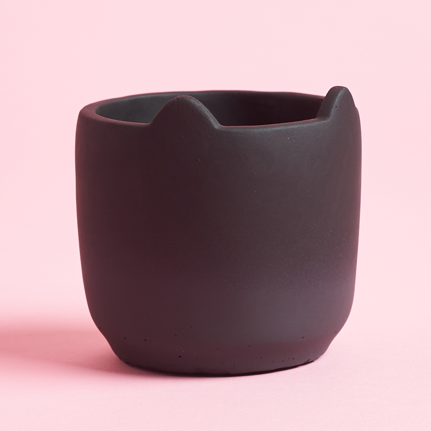 close up of ceramic black planter with cat ears