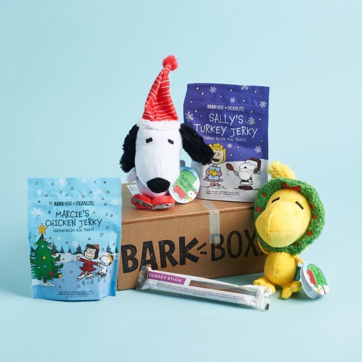 My Honest BarkBox Review – Is It Worth It?