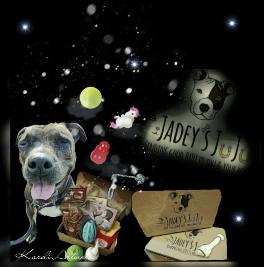 Jadey’s JUJU Coupon: Get 15% Off Your Quarterly Box