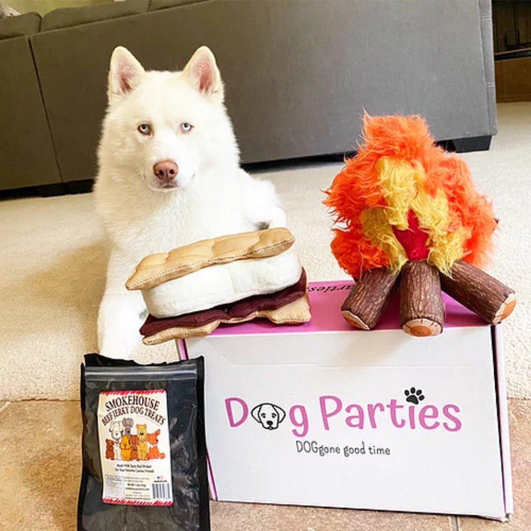 Dog Parties Box: Get 15% Off Your New Subscription