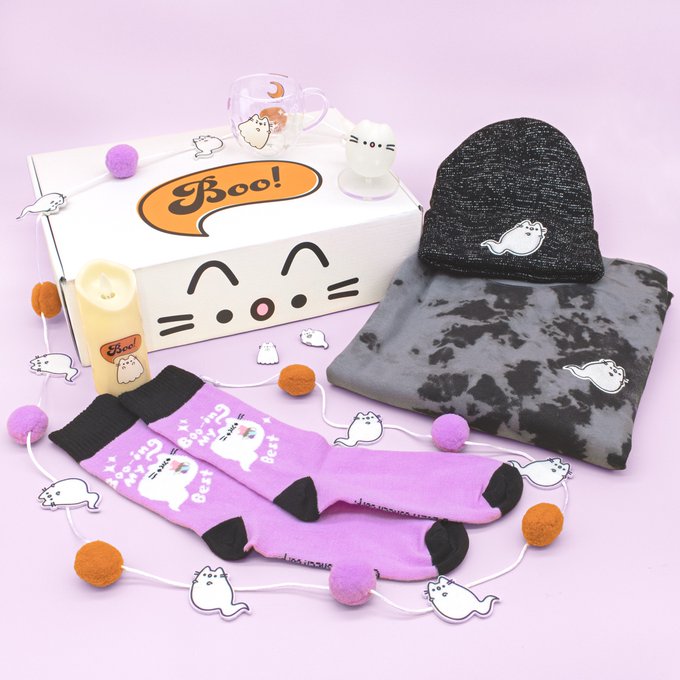 photo of Pusheen Fall Box and its contents, including socks, sweatshirt and hat--all with tiny ghost appliques