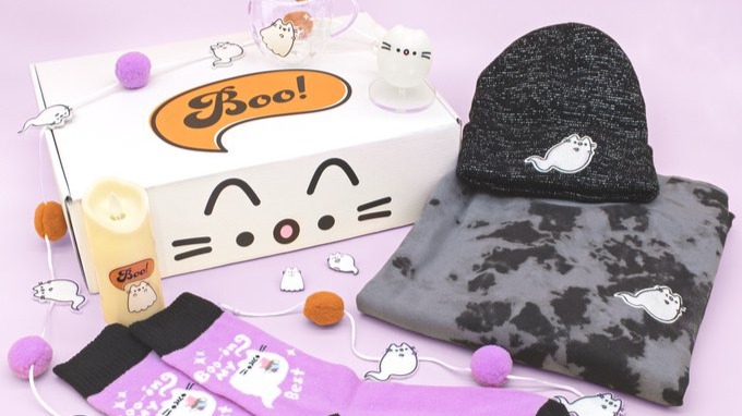 photo of Pusheen Fall Box and its contents, including socks, sweatshirt and hat--all with tiny ghost appliques