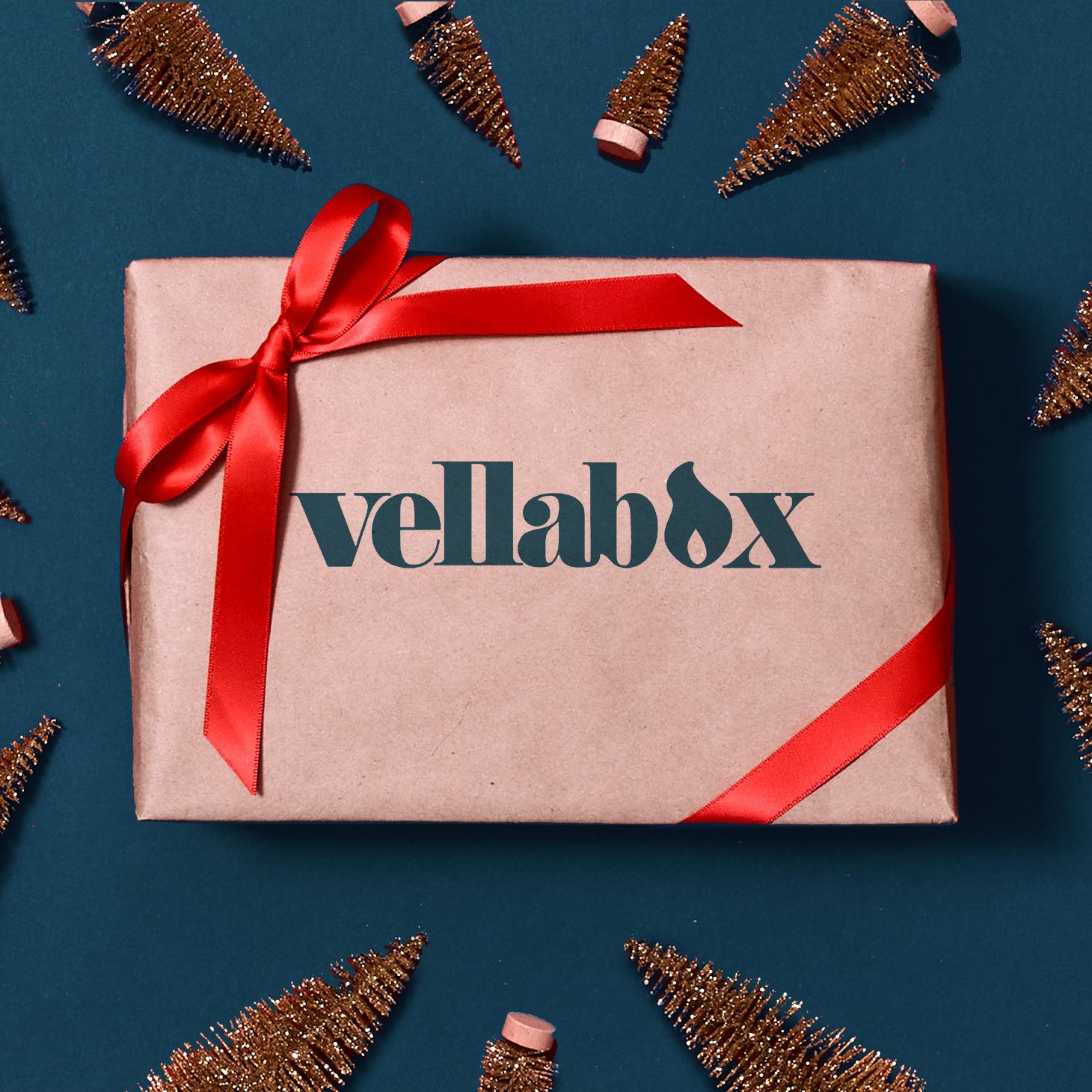 12 Days of Gratitude and Giving: Win a 6 Month Vellabox Subscription + Essentials Kit