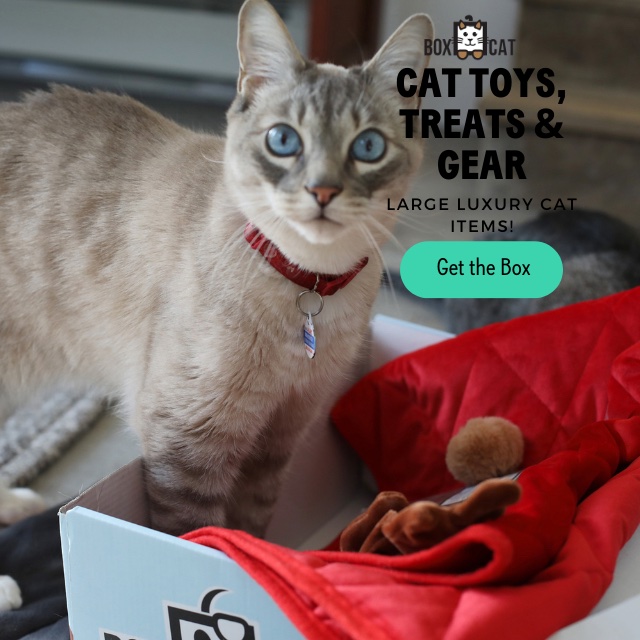 BoxCat Holiday Exclusive: Get Free Velvet Cat Blanket