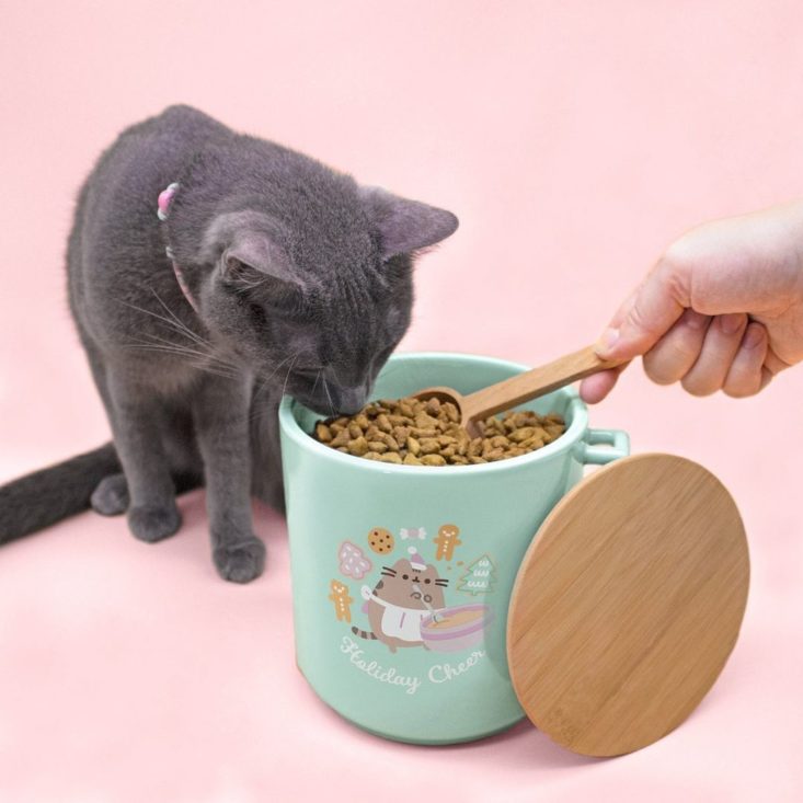 pusheen food jar and cat