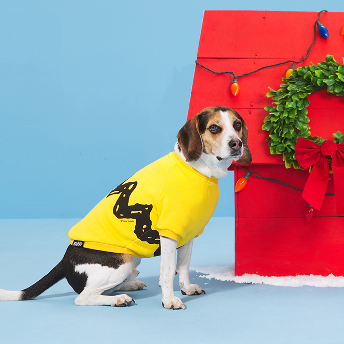 Super Chewer: Get FREE Charlie Brown Sweater For Your Pup