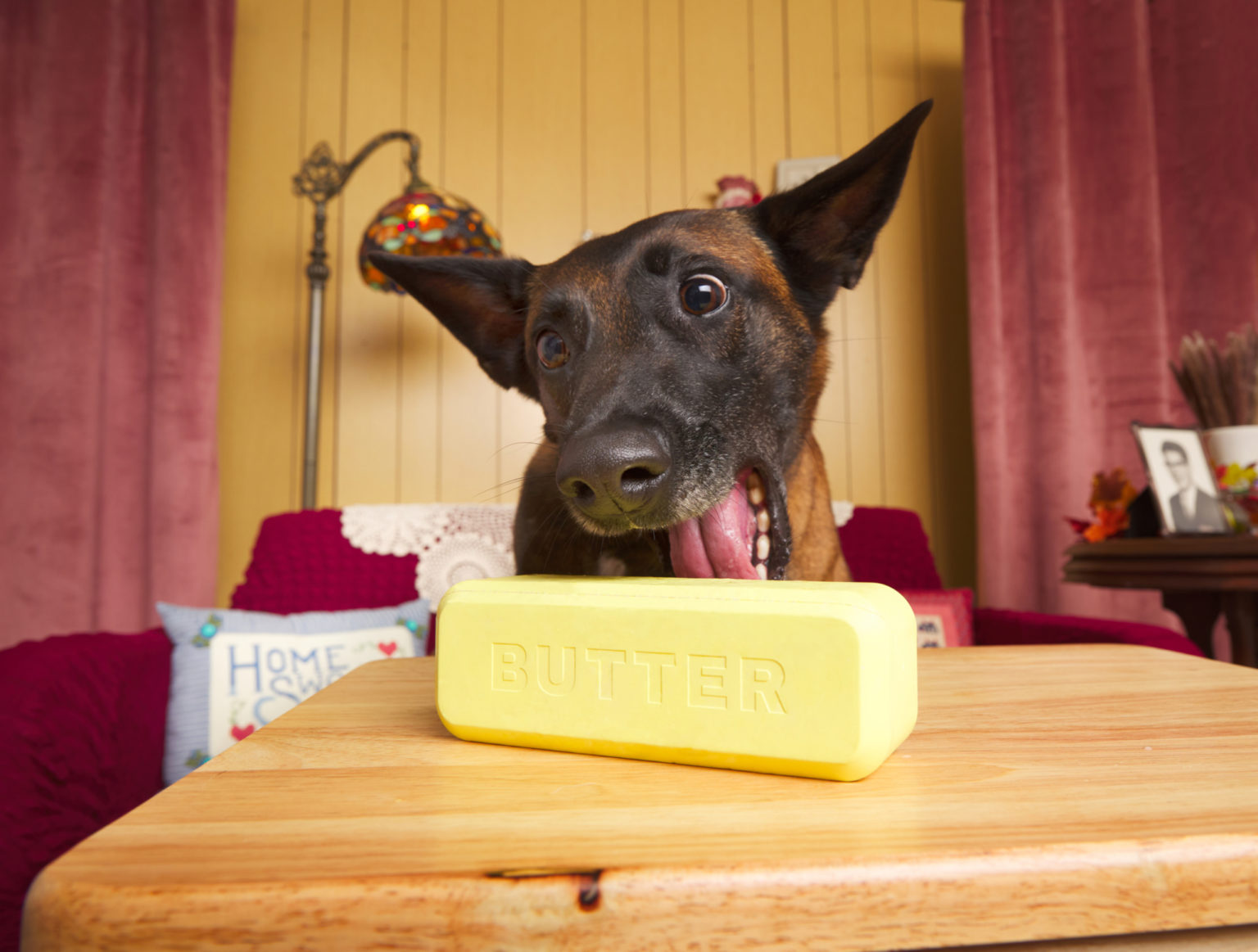 Super Chewer Box Reviews Everything You Need To Know