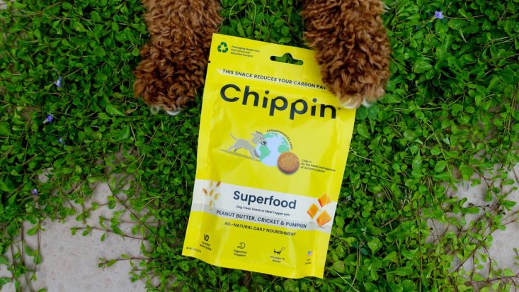 brown dog paws on chippen pets superfood treats bag 