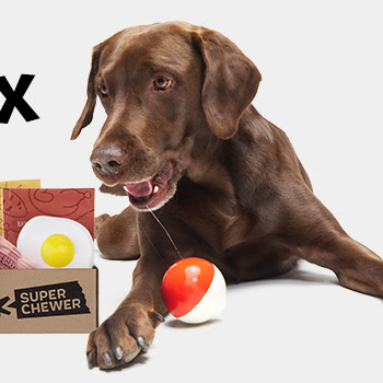 Super Chewer Coupon: Get Your First Box for $11 With Multi-Month Subscription