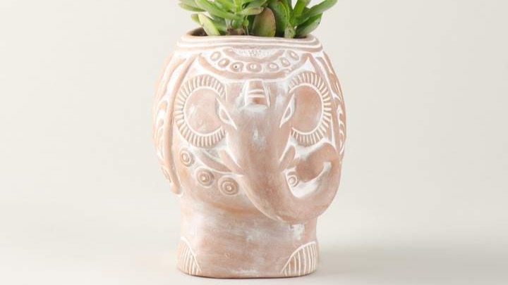 photo of whitewashed terracotta elephant planter