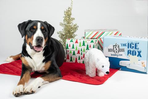 BoxDog 2021 Holiday Deal: Get a Free Santa Dog Toy with Purchase!