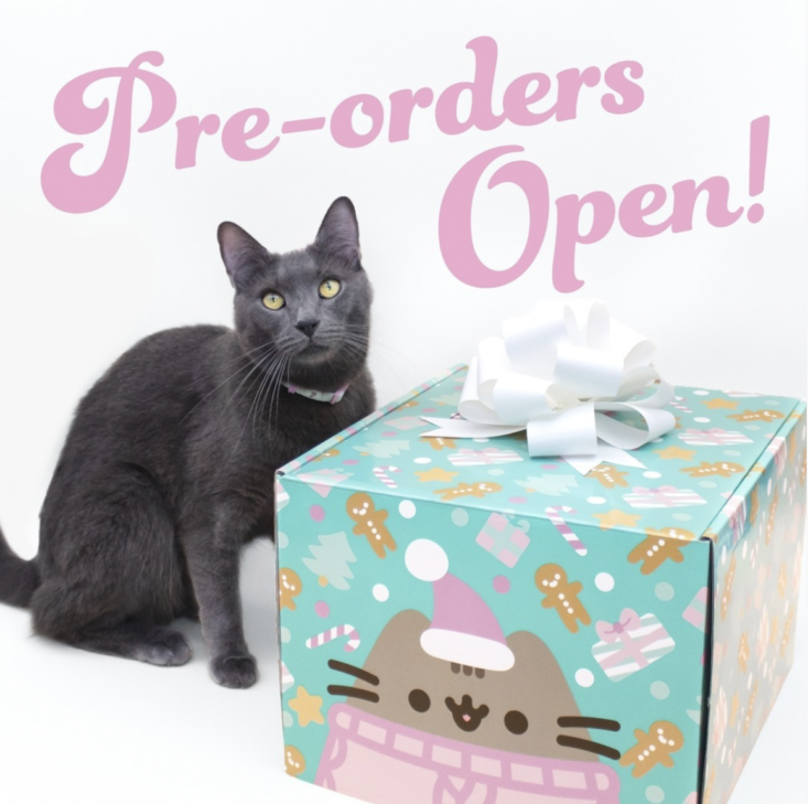 cat kit by pusheen with cat beside it and the words pre-orders open