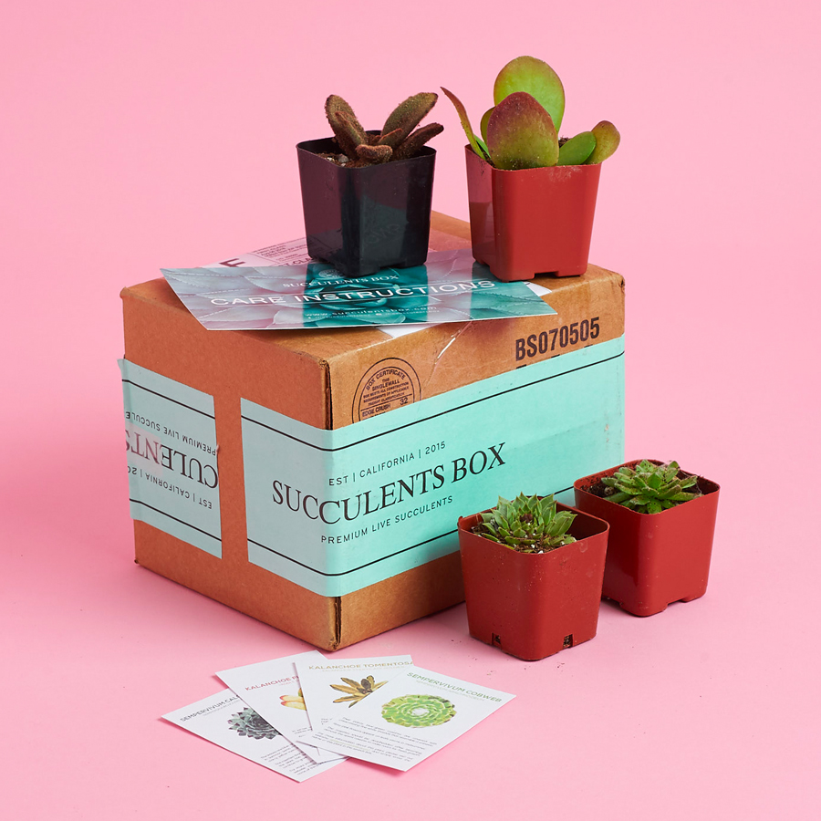 Succulents Box 2021 Cyber Monday Deal – 30% Off Subscriptions