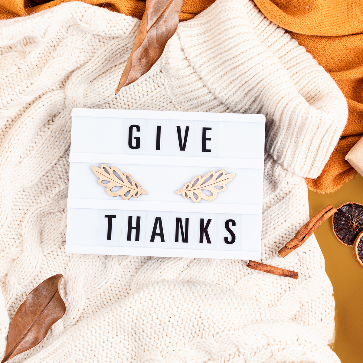 12 Days of Gratitude and Giving: Happy Thanksgiving From MSA